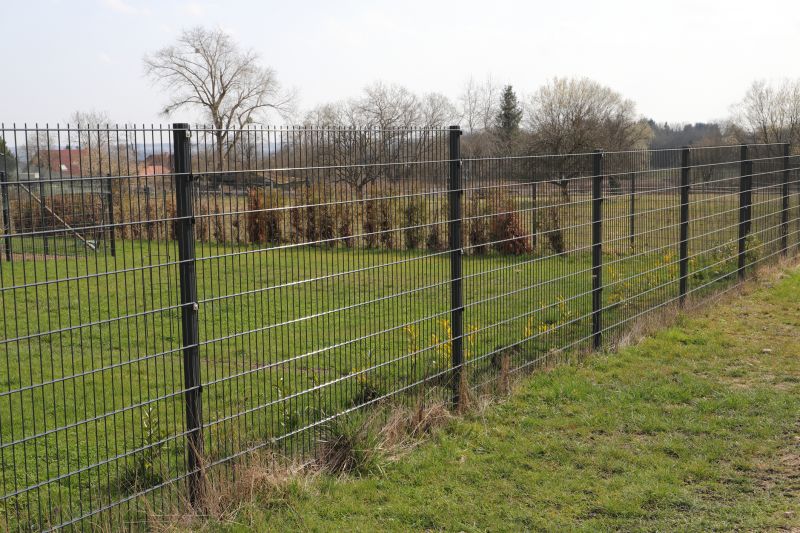 Wire Mesh Fencing
