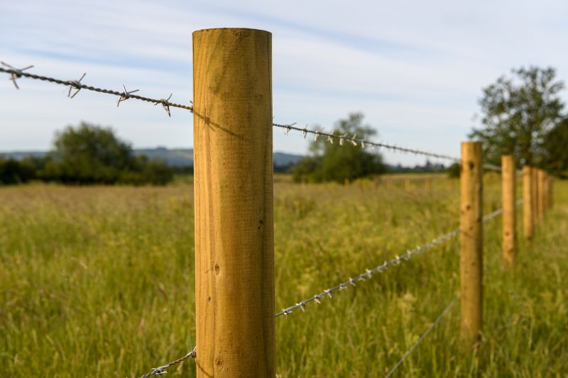 Ranch Style Fence